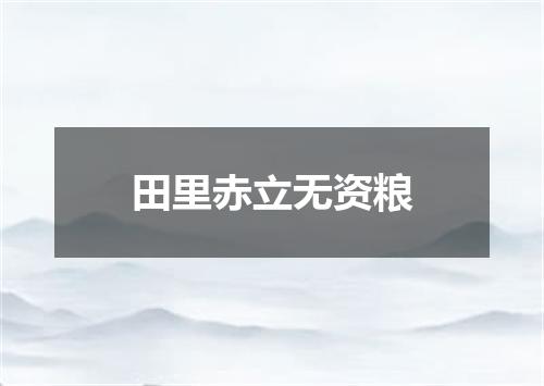 田里赤立无资粮