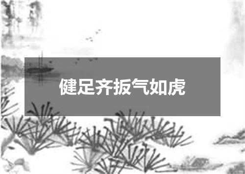 健足齐扳气如虎