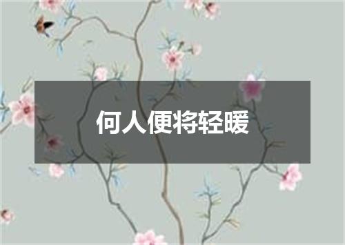 何人便将轻暖