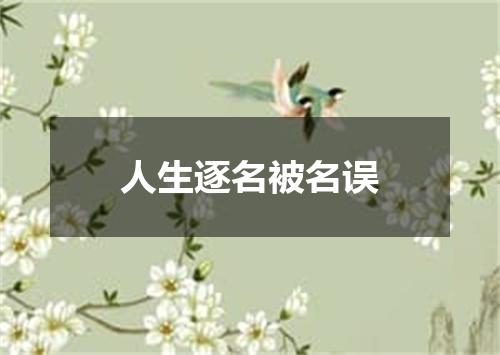 人生逐名被名误