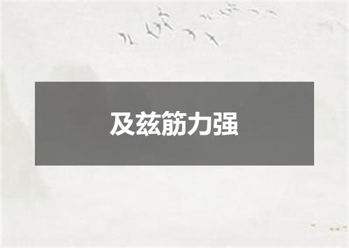 及兹筋力强