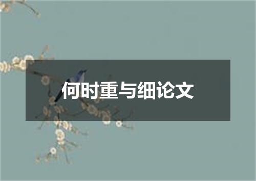 何时重与细论文