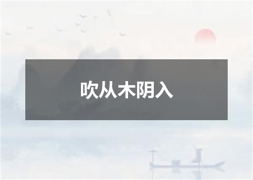 吹从木阴入