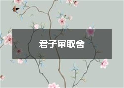 君子审取舍