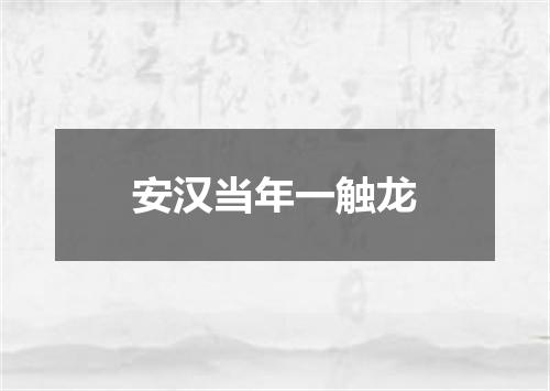安汉当年一触龙