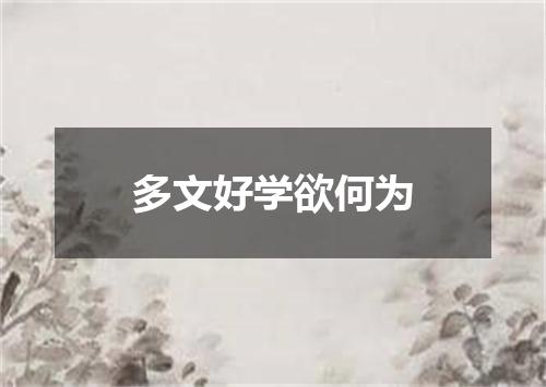 多文好学欲何为