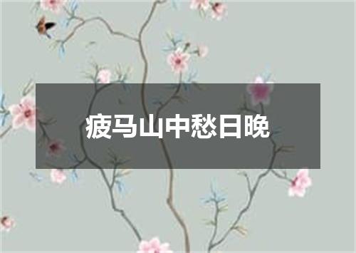 疲马山中愁日晚