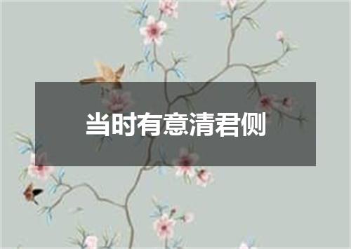 当时有意清君侧