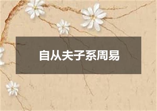 自从夫子系周易