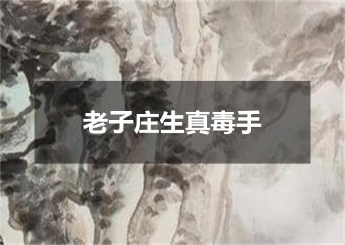 老子庄生真毒手
