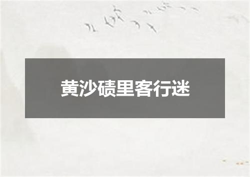 黄沙碛里客行迷