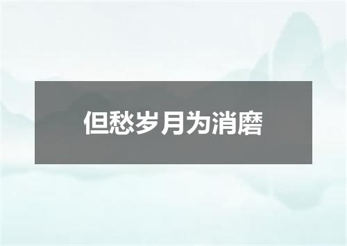 但愁岁月为消磨