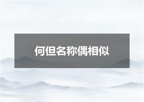 何但名称偶相似