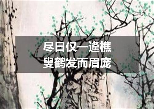 尽日仅一逄樵叟鹤发而眉庞