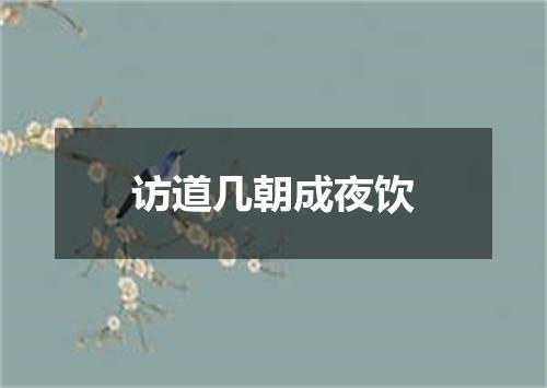 访道几朝成夜饮
