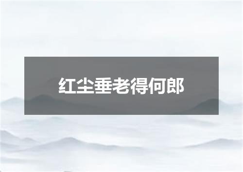 红尘垂老得何郎