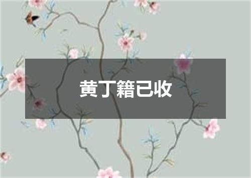 黄丁籍已收