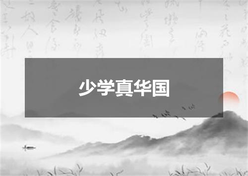 少学真华国