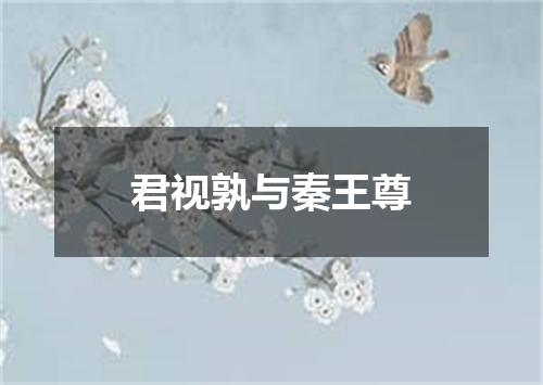 君视孰与秦王尊