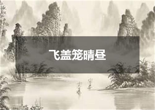 飞盖笼晴昼