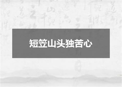 短笠山头独苦心