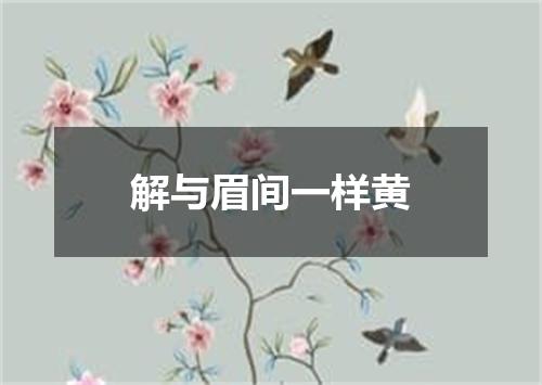 解与眉间一样黄