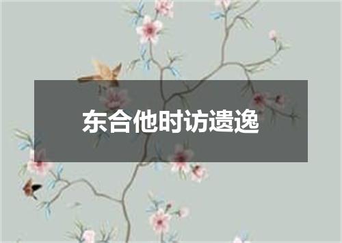 东合他时访遗逸