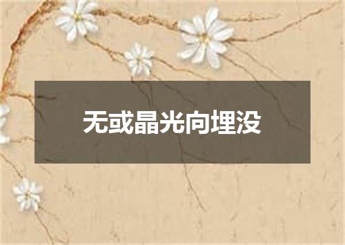 无或晶光向埋没