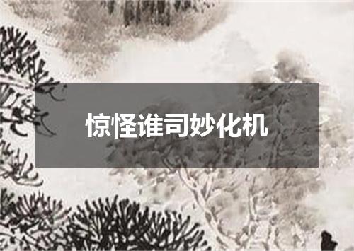 惊怪谁司妙化机
