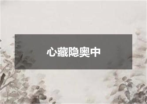 心藏隐奥中