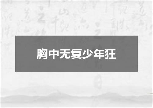胸中无复少年狂