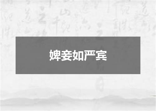 婢妾如严宾