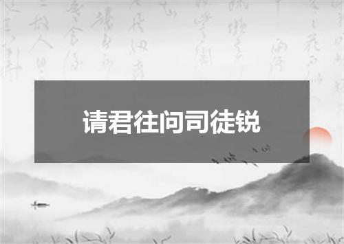 请君往问司徒锐