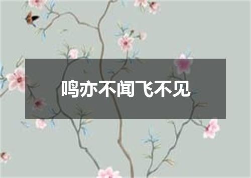 鸣亦不闻飞不见