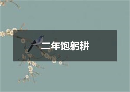 二年饱躬耕
