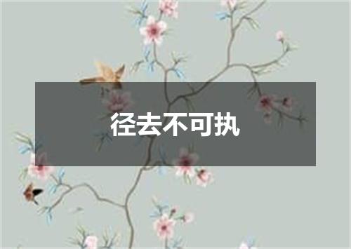 径去不可执