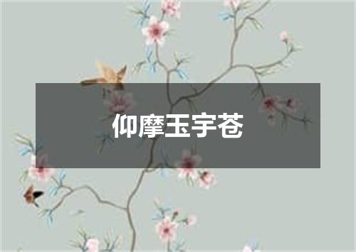 仰摩玉宇苍