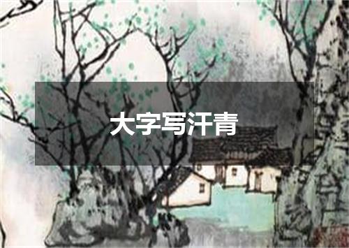 大字写汗青