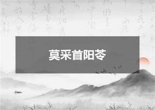 莫采首阳苓