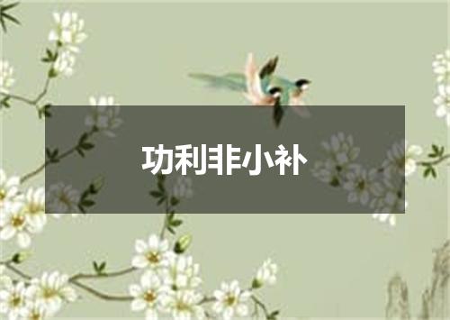 功利非小补