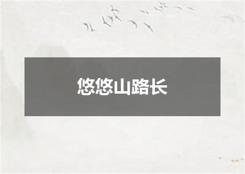 悠悠山路长