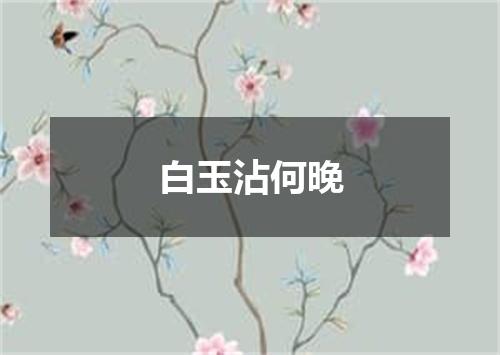 白玉沾何晚