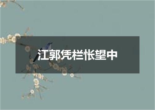 江郭凭栏怅望中