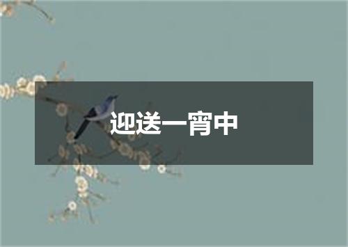 迎送一宵中