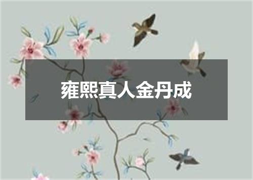 雍熙真人金丹成