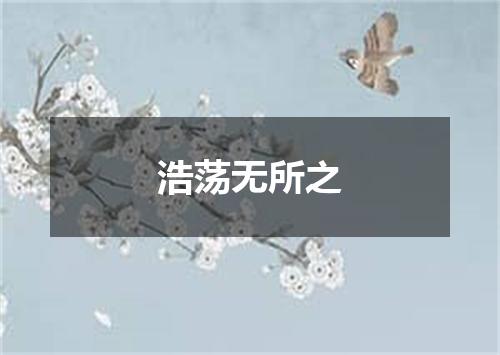 浩荡无所之