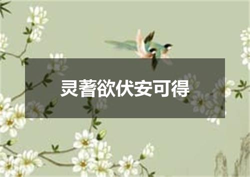 灵蓍欲伏安可得