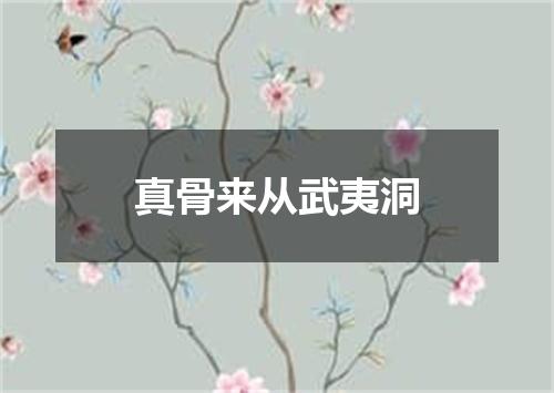 真骨来从武夷洞