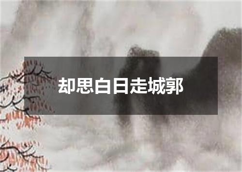却思白日走城郭