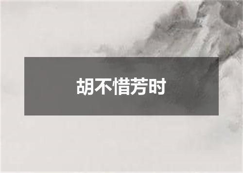 胡不惜芳时
